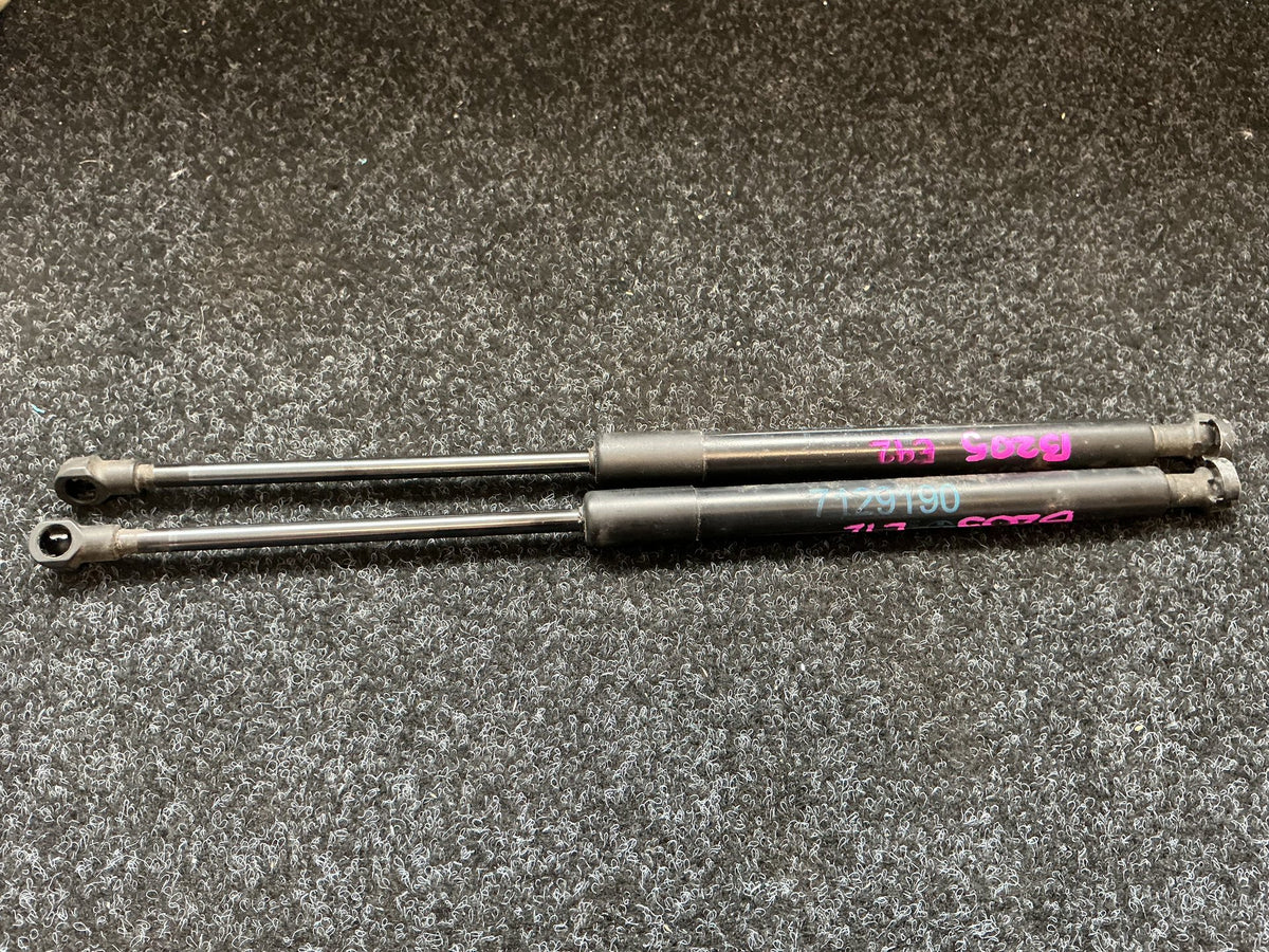 2009 BMW 320i WBAWA52050P301157 - Bonnet Gas Strut Pair
