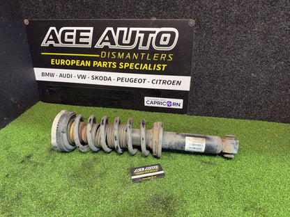 2011 BMW X3 F25 F25 - Rear struts